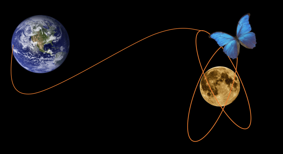 NRHO or butterfly orbit